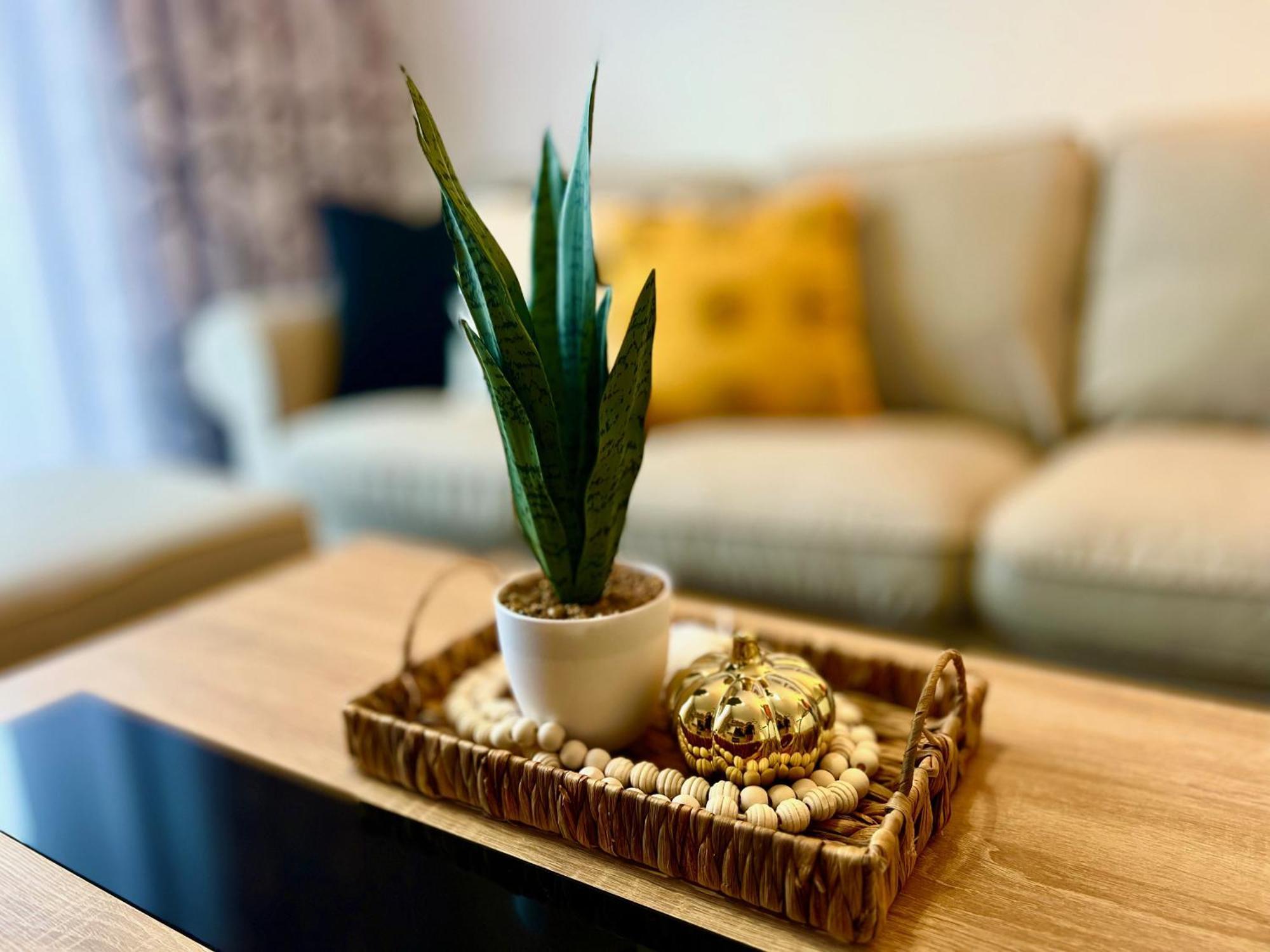 Casilla Bubo Apartment Коста де Антигуа Екстериор снимка